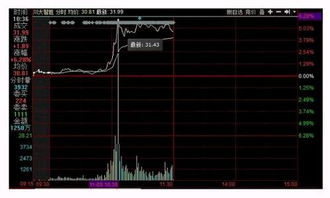 特朗普當選總統對軟件開發行業的影響與應對